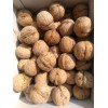 求购新鲜核桃新鲜核桃